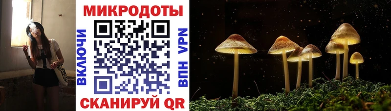 Купить  Южно-Сухокумск  Псилоцибиновые грибы мицелий 