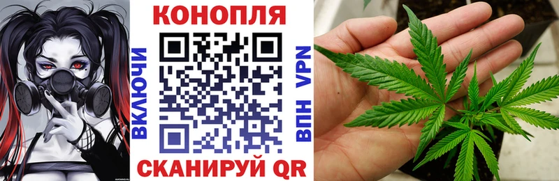 Шишки марихуана THC 21% Купить закладки Южно-Сухокумск